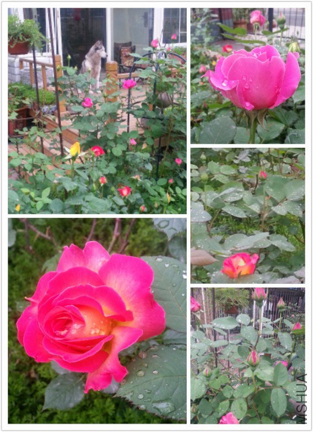 pt2013_05_09_08_37_03.jpg