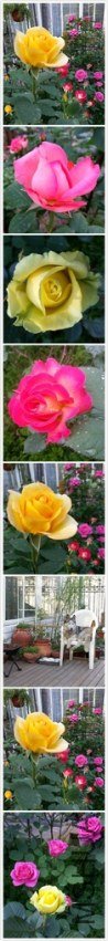 pt2013_05_11_17_43_39.jpg