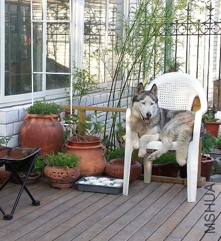 20130511_172812_mh000.jpg