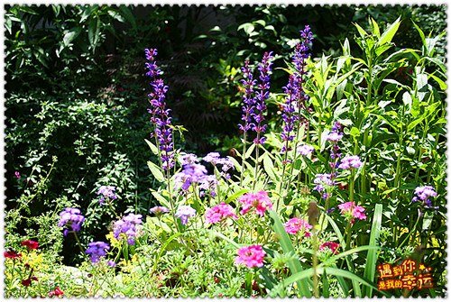 ��Ƭ 234_����.jpg