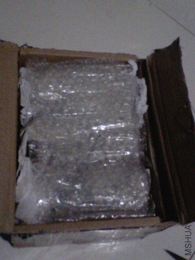 IMG10264.jpg