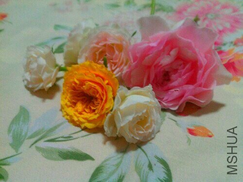 IMG20130516001225.jpg