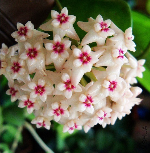 QQͼƬ20130516082652.jpg