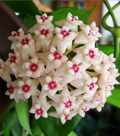 QQͼƬ20130516082557.jpg