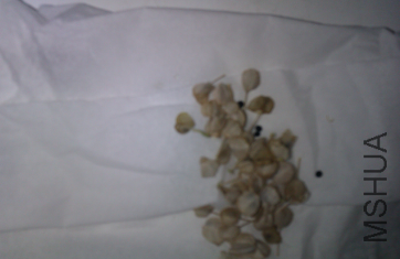 QQ��ͼ20130516091625.png
