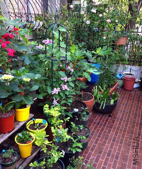 СԺ20130514B.jpg