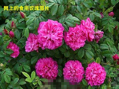 ��Ƭ 041_����.jpg