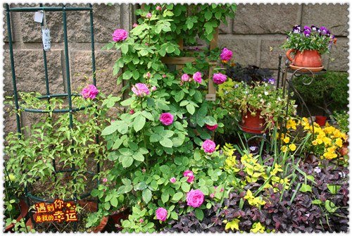 ��Ƭ 043B_����.jpg