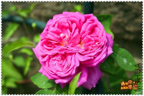 ��Ƭ 043C_����.jpg