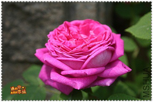 ��Ƭ 043D_����.jpg