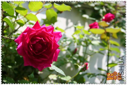 ��Ƭ 050_����.jpg