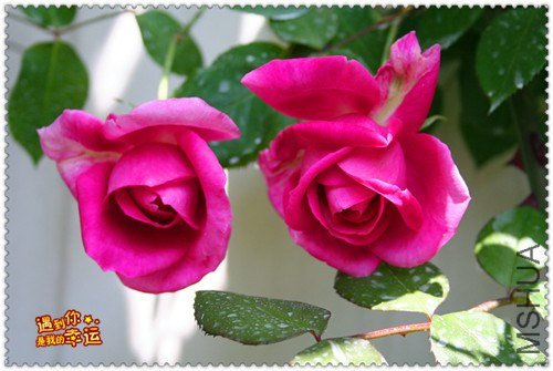 ��Ƭ 052_����.jpg