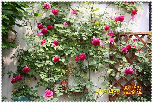 ��Ƭ 053_����.jpg