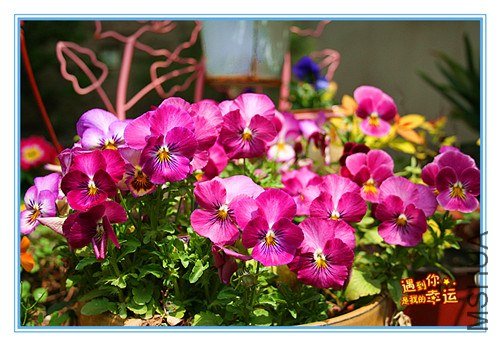 ��Ƭ 100_����.jpg