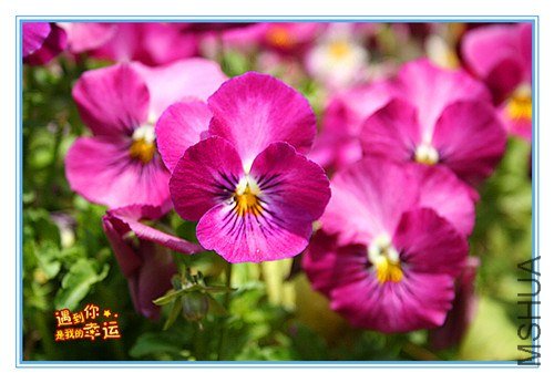 ��Ƭ 102_����.jpg