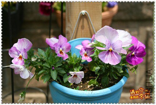 ��Ƭ 115_����.jpg