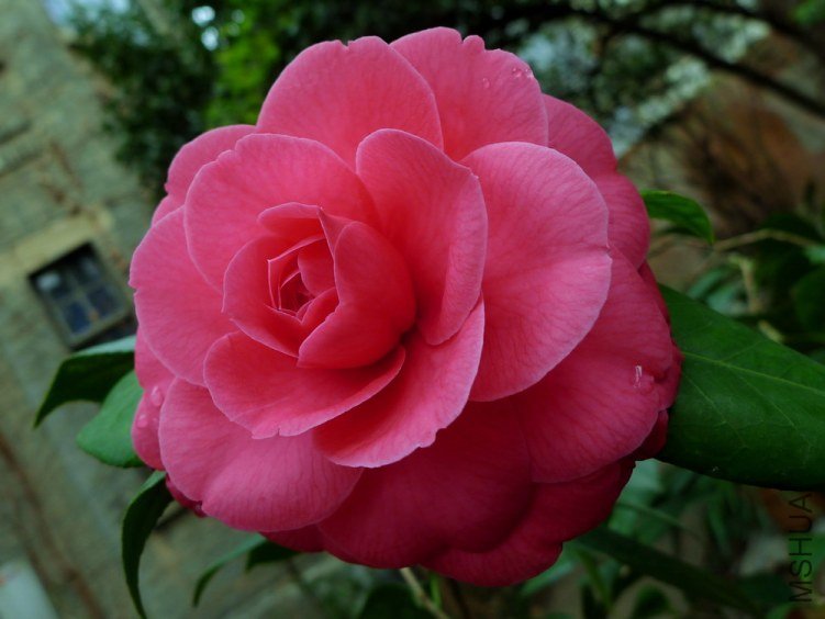 P1830150.jpg