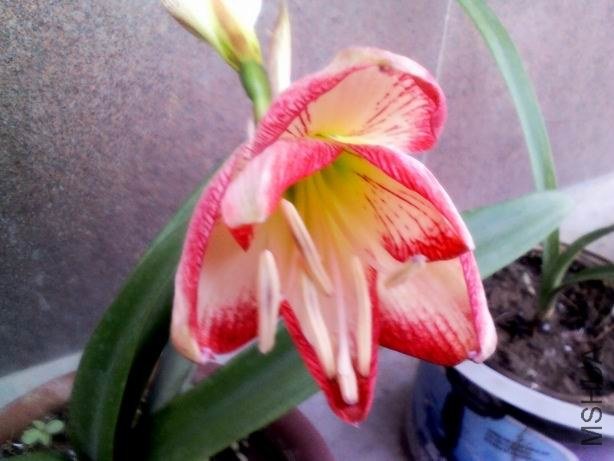 ������С YP20130515171328.jpeg