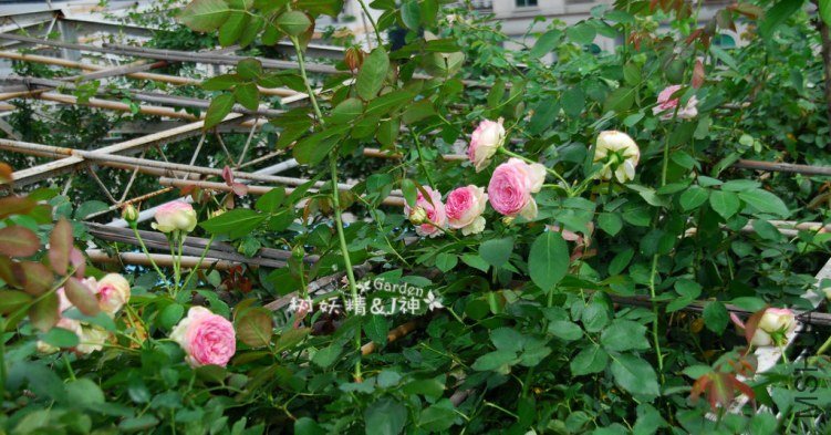DSC_0003.JPG