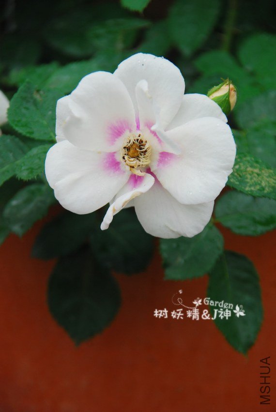 DSC_0015.JPG