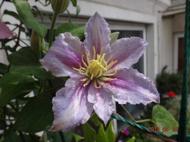 DSC07042.JPG