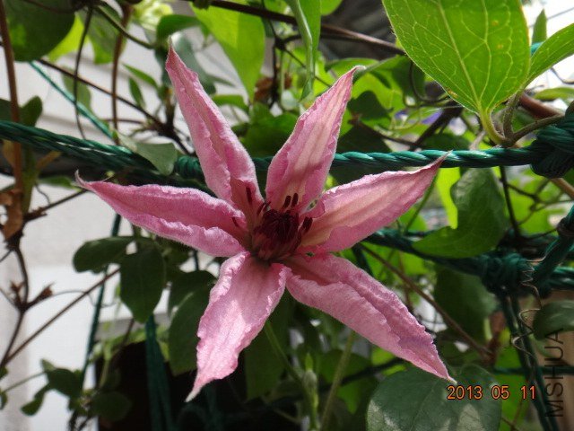 DSC06350.JPG
