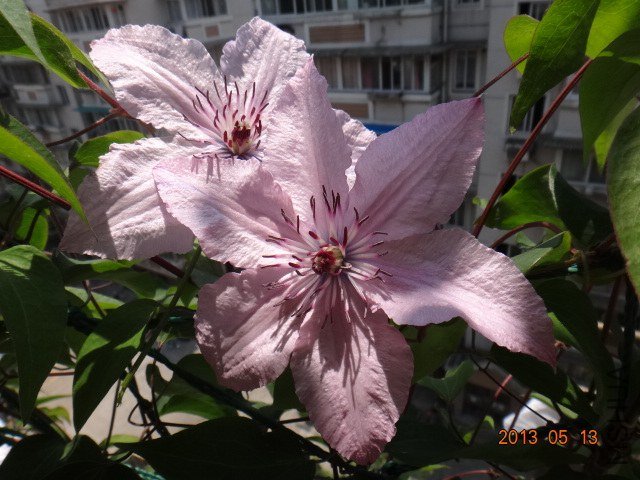 DSC06726.JPG
