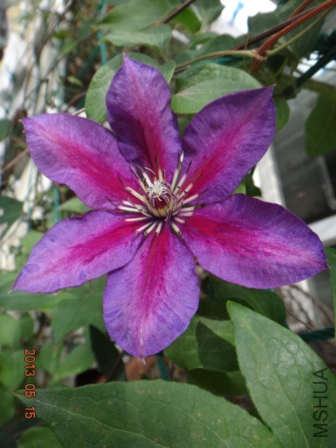 DSC07035.JPG