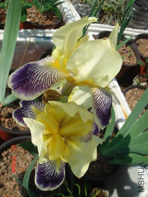 DSC00260.JPG