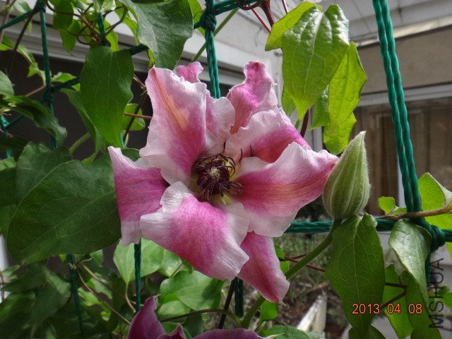 DSC03218.JPG