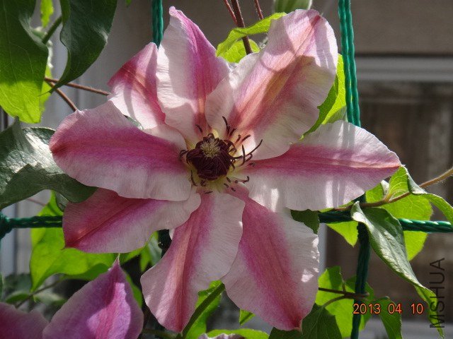 DSC03433.JPG