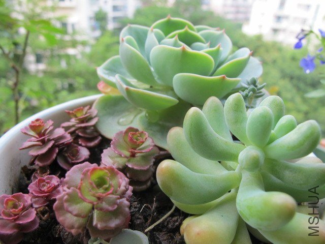 ���� 006.JPG