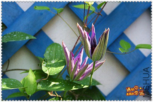 ��Ƭ 163_����.jpg