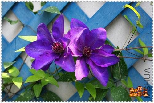 ��Ƭ 163a_����.jpg