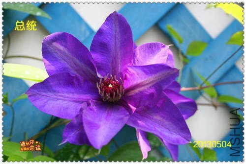 ��Ƭ 163b_����.jpg