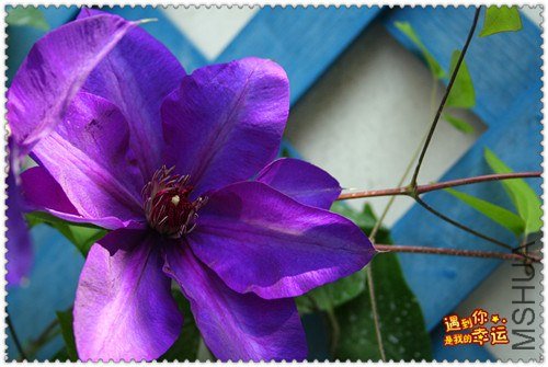 ��Ƭ 163c_����.jpg