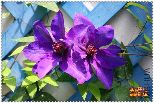 ��Ƭ 163d_����.jpg