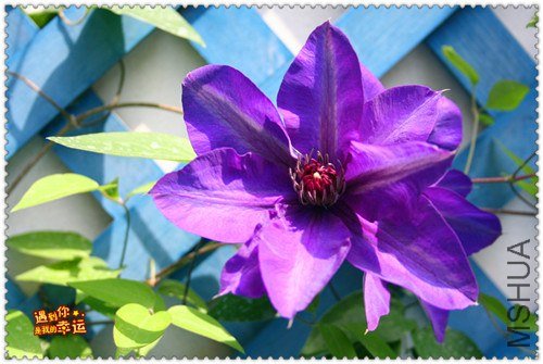 ��Ƭ 163e_����.jpg