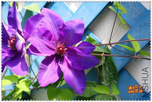 ��Ƭ 163f_����.jpg