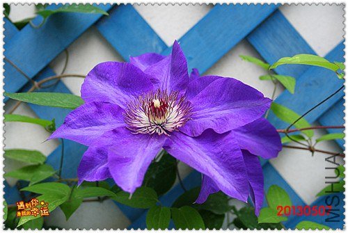 ��Ƭ 163g_����.jpg