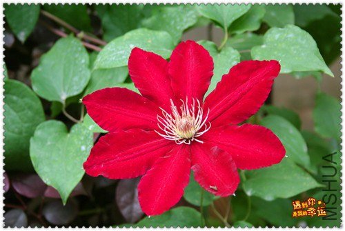 ��Ƭ 165e_����.jpg