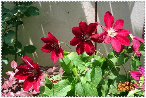 ��Ƭ 165_����.jpg