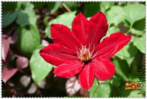 ��Ƭ 165d_����.jpg