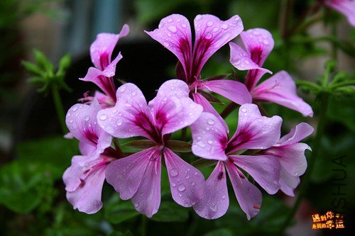 ��Ƭ 028_����.jpg