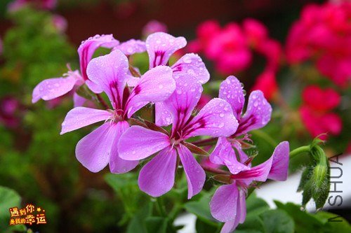 ��Ƭ 029_����.jpg