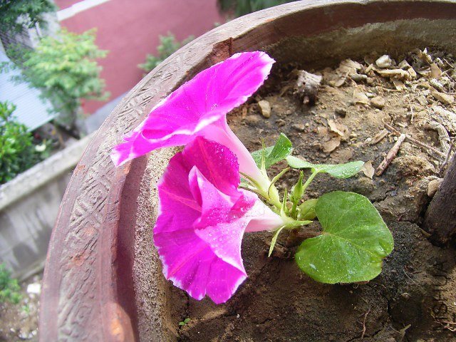 RIMG0222_640x480.JPG