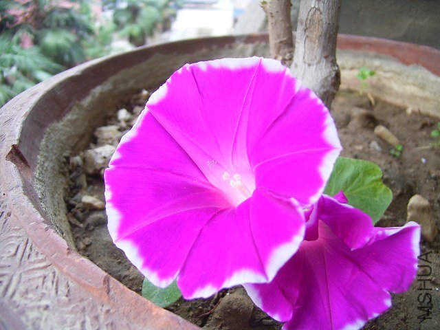 RIMG0185_640x480.JPG