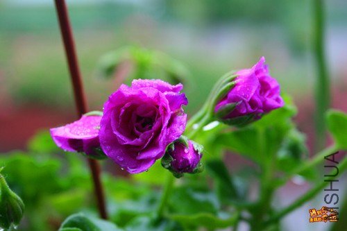 ��Ƭ 032_����.jpg