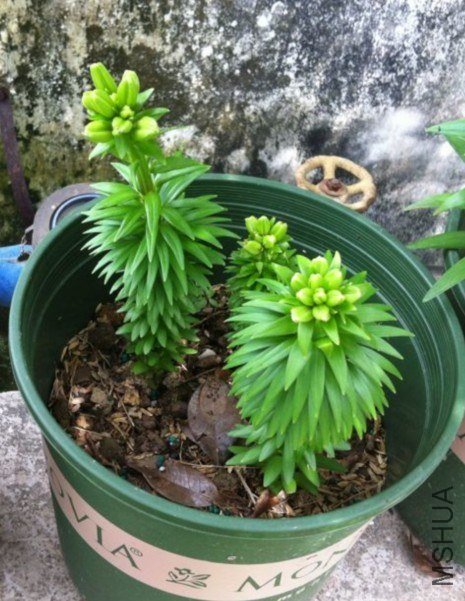QQͼƬ20130517171144.jpg