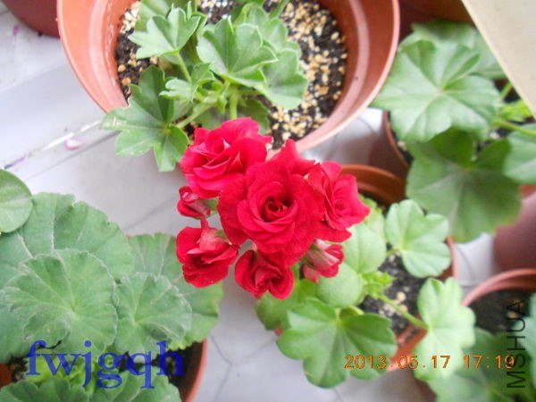 ��Ƭ 126_����.jpg